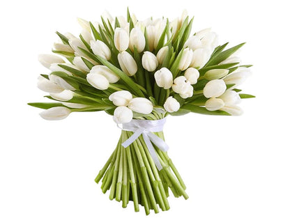 Tulips Bouquet - Florist London