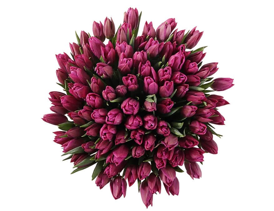 Tulips Bouquet - Florist London