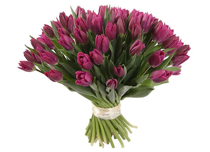 Tulips Bouquet - Florist London
