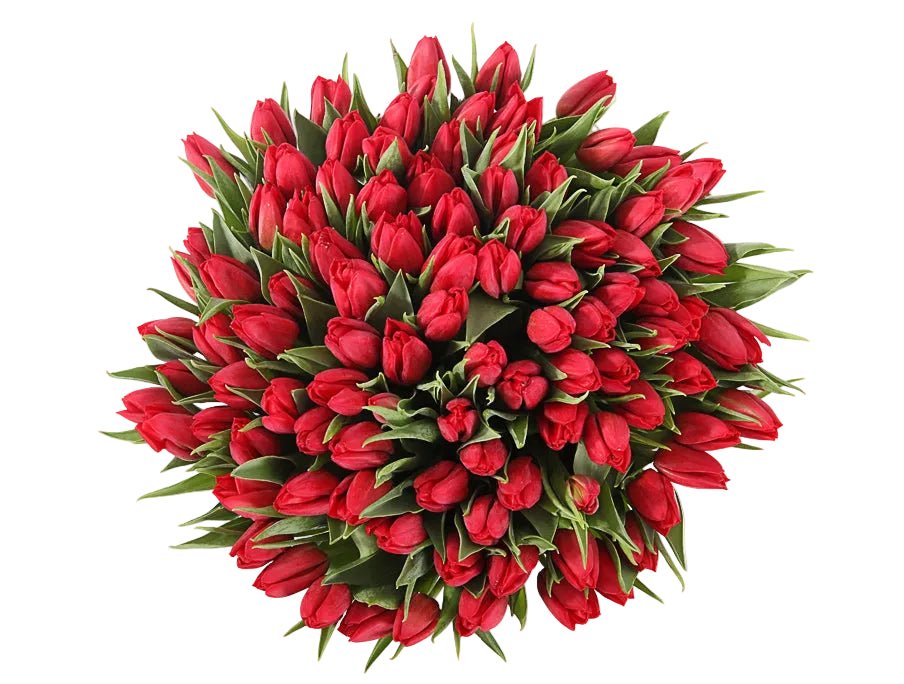 Tulips Bouquet - Florist London