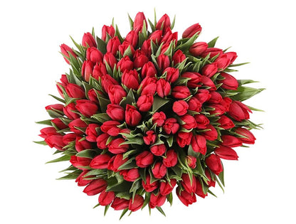 Tulips Bouquet - Florist London