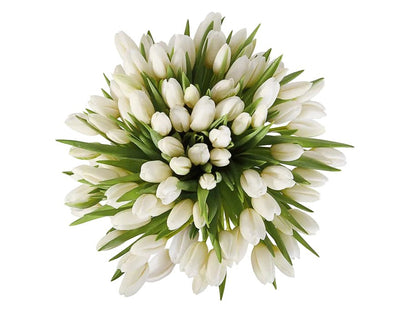 Tulips Bouquet - Florist London
