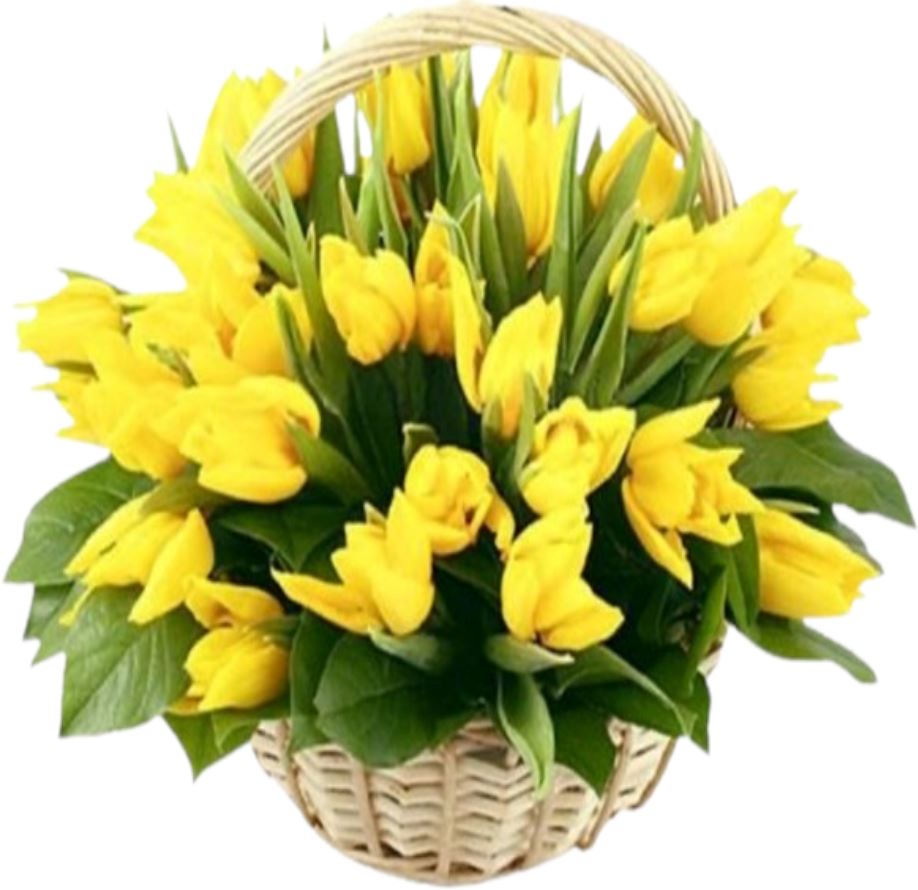 Tulips Flowers Basket - Florist London