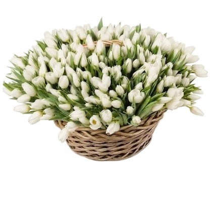 Tulips Flowers Basket - Florist London