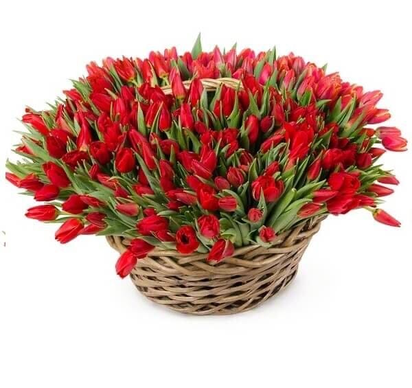 Tulips Flowers Basket - Florist London