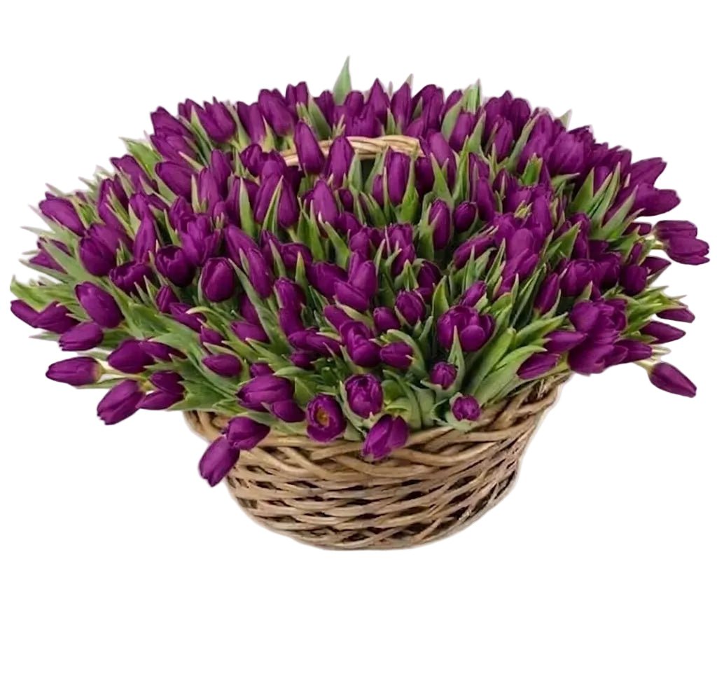 Tulips Flowers Basket - Florist London