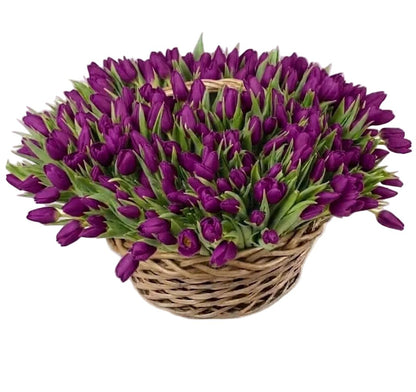Tulips Flowers Basket - Florist London