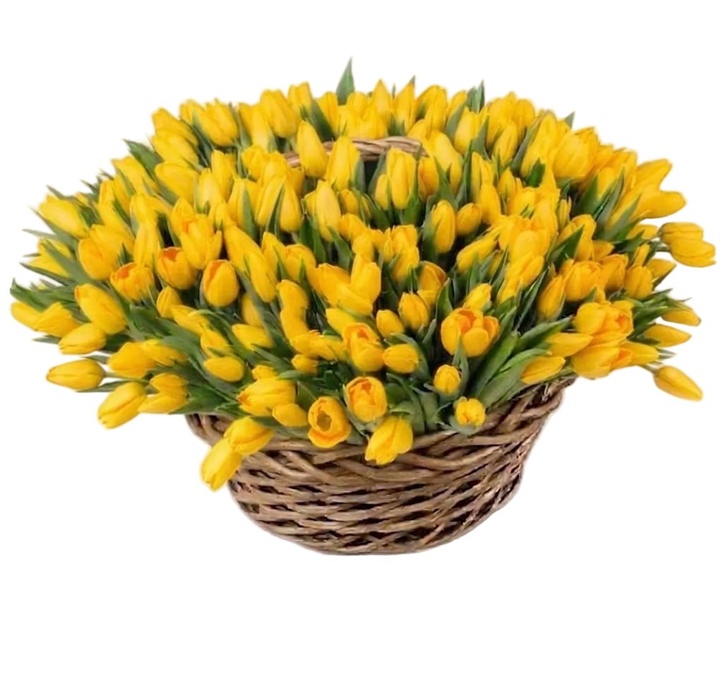 Tulips Flowers Basket - Florist London