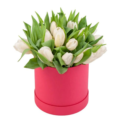 Tulips in a Box - Florist London