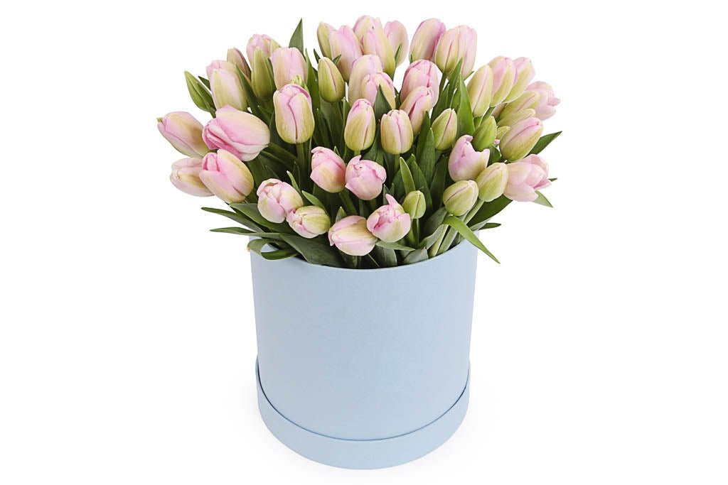 Tulips in a Box - Florist London