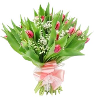 Tulips with Gypsophila Bouquet