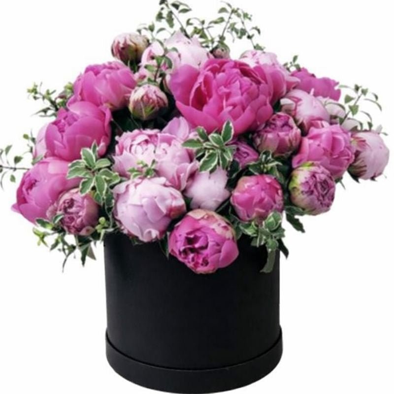 Two Shades Peony Box - Florist London