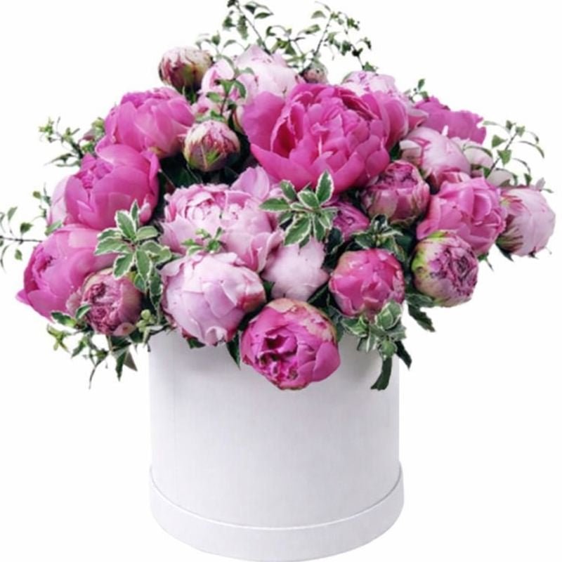 Two Shades Peony Box - Florist London