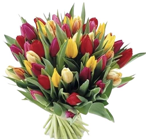 Vibrant Trio Tulips Bouquet - Florist London