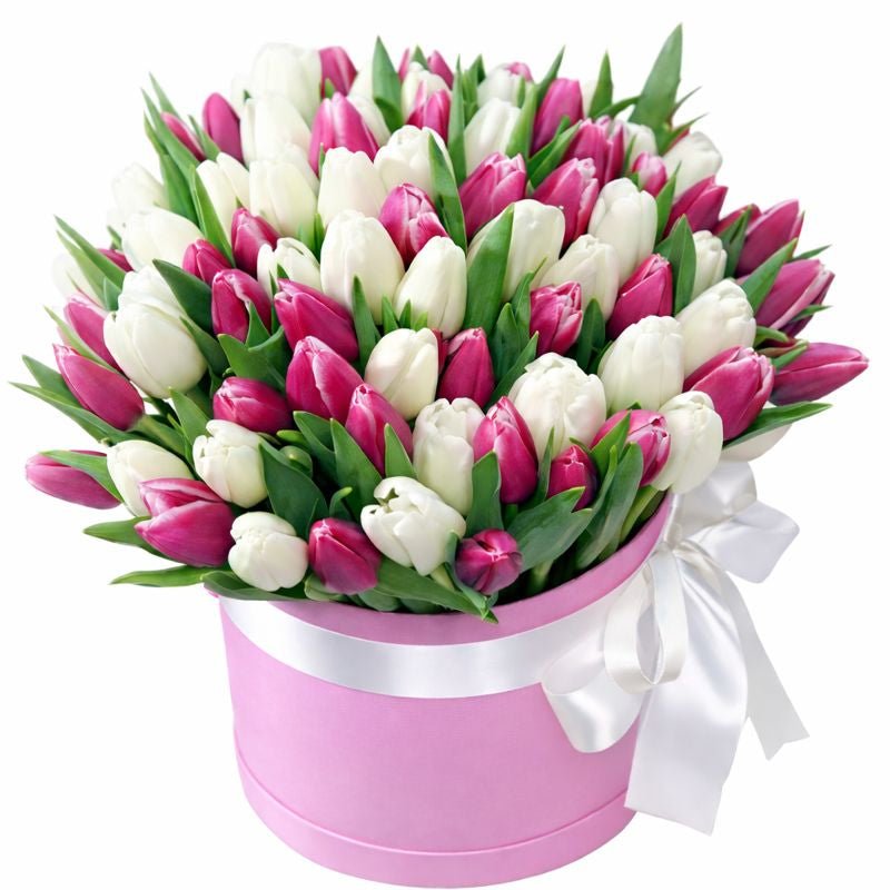 White and Cerise Tulips Box - Florist London