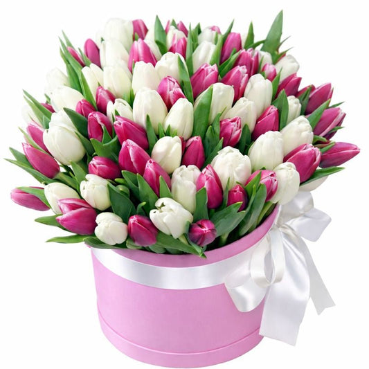 White and Cerise Tulips Box - Florist London