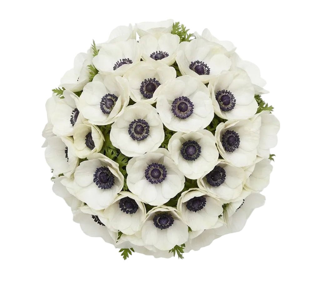 White Anemone Bouquet - Florist London