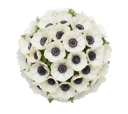 White Anemone Bouquet - Florist London