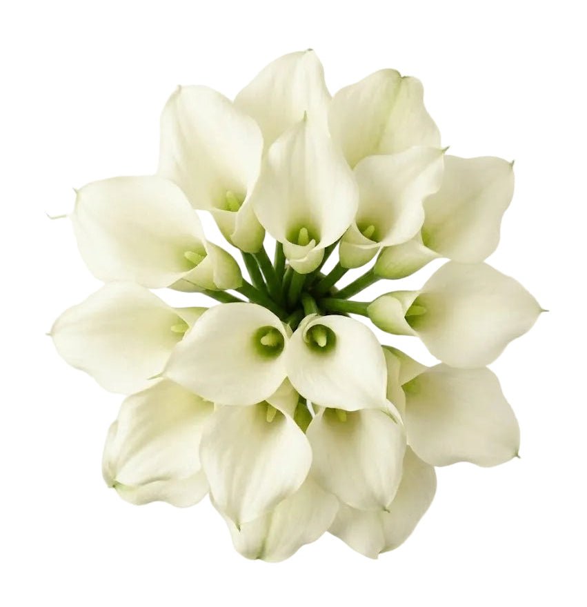 White Calla Lilly Wedding Bouquet - Florist London