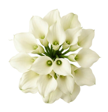 White Calla Lilly Wedding Bouquet - Florist London