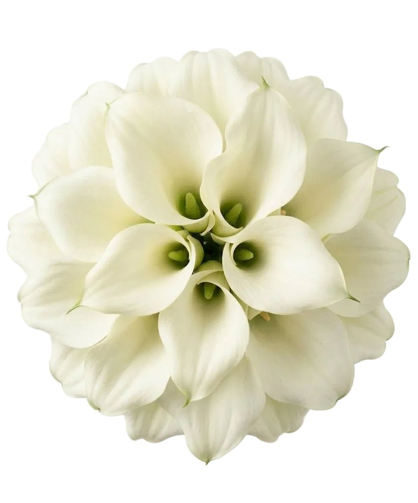White Calla Lilly Wedding Bouquet - Florist London