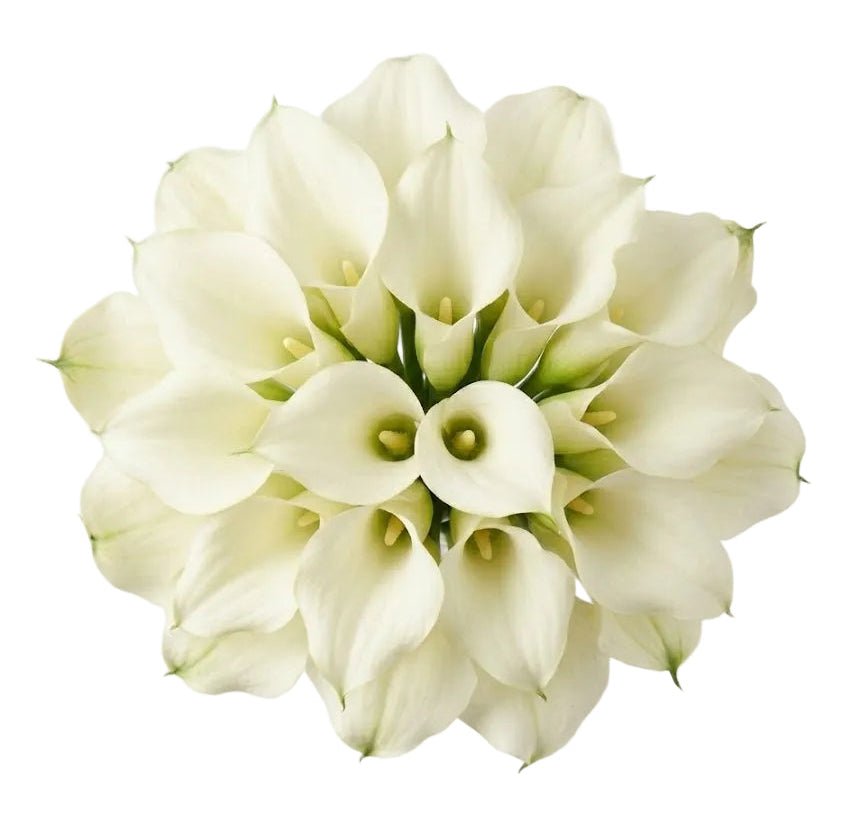 White Calla Lilly Wedding Bouquet - Florist London