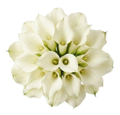 White Calla Lilly Wedding Bouquet - Florist London