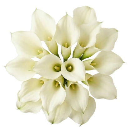 White Calla Lilly Wedding Bouquet - Florist London