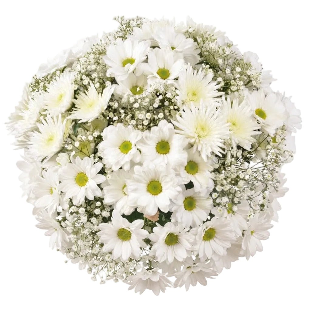 White Chrysanthemum With Gypsophilium Bouquet - Florist London