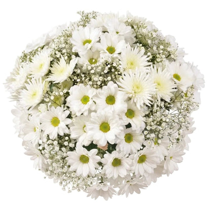 White Chrysanthemum With Gypsophilium Bouquet - Florist London