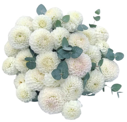 White Dahlia with Eucalyptus Bouquet - Florist London
