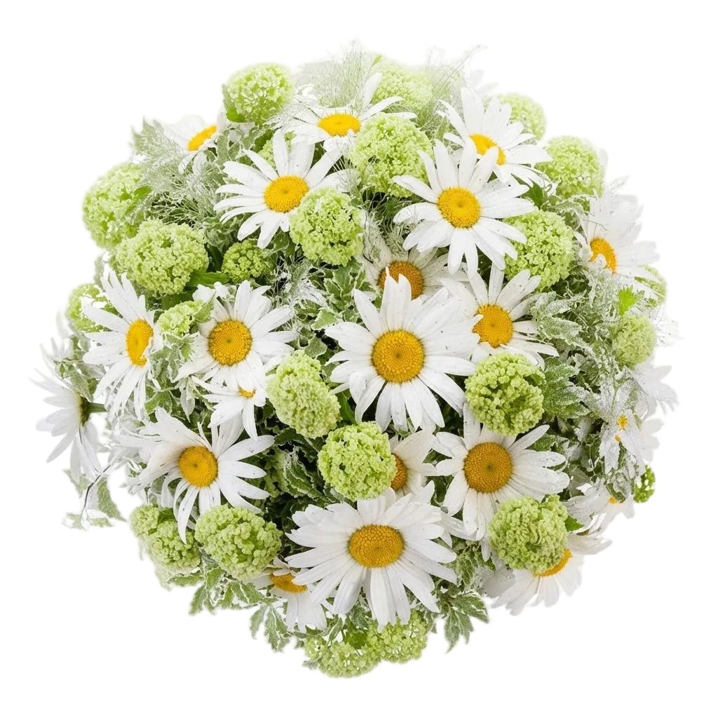 White Daisy and Green Viburnum Bouquet - Florist London