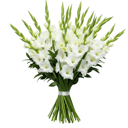White Gladiolus Bouquet - Florist London