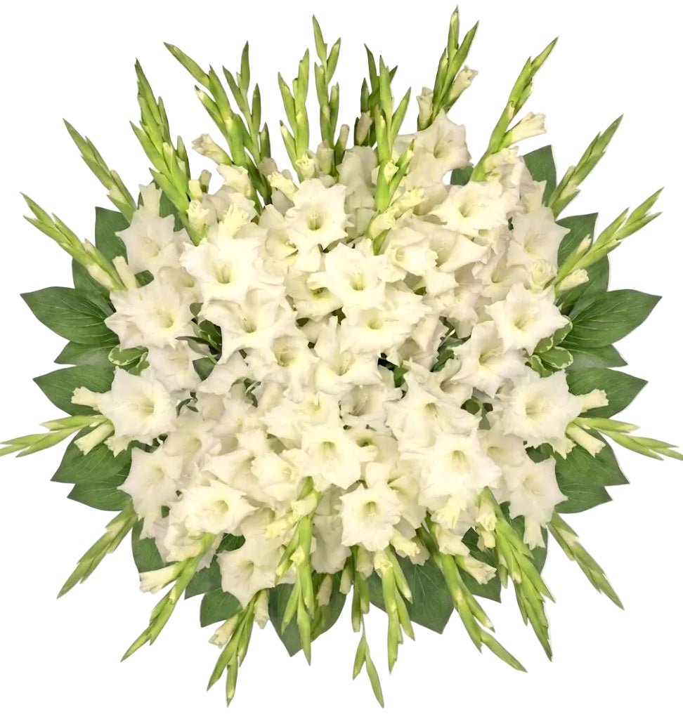 White Gladiolus Bouquet - Florist London