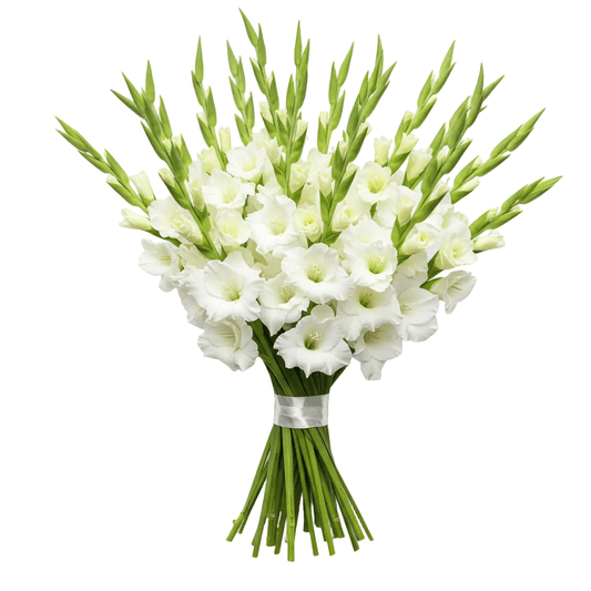White Gladiolus Bouquet - Florist London