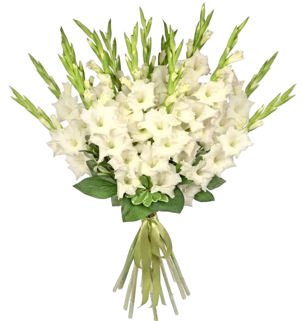 White Gladiolus Bouquet - Florist London