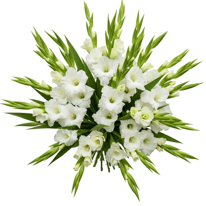 White Gladiolus Bouquet - Florist London