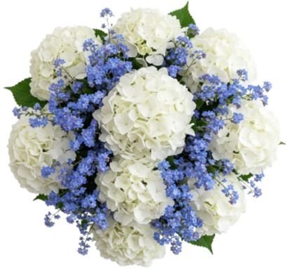 White Hydrangea with Forget - Me - Not Bouquet - Florist London
