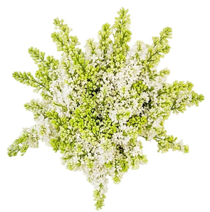 White Lilac Bouquet - Florist London