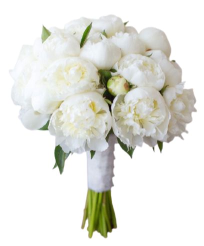 White Peonies Wedding Bouquet