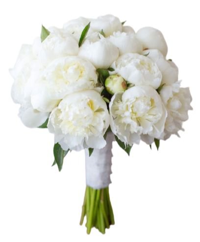 White Peonies Wedding Bouquet - Florist London