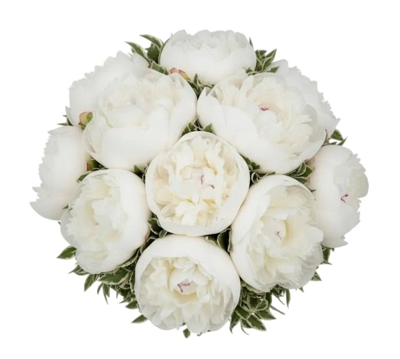 White Peonies with Pittosporum Bouquet - Florist London