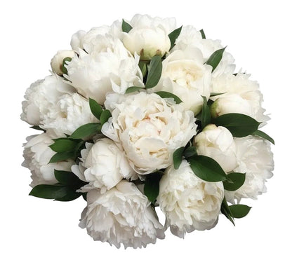 White Peonies with Ruscus Bouquet - Florist London