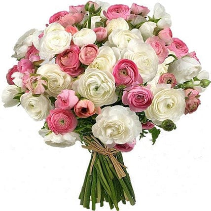 White & Pink Ranunculus Bouquet - Florist London