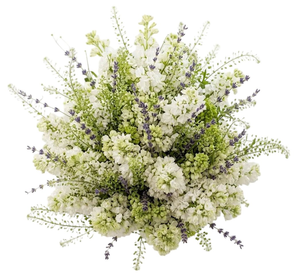 White Scented Bouquet - Florist London