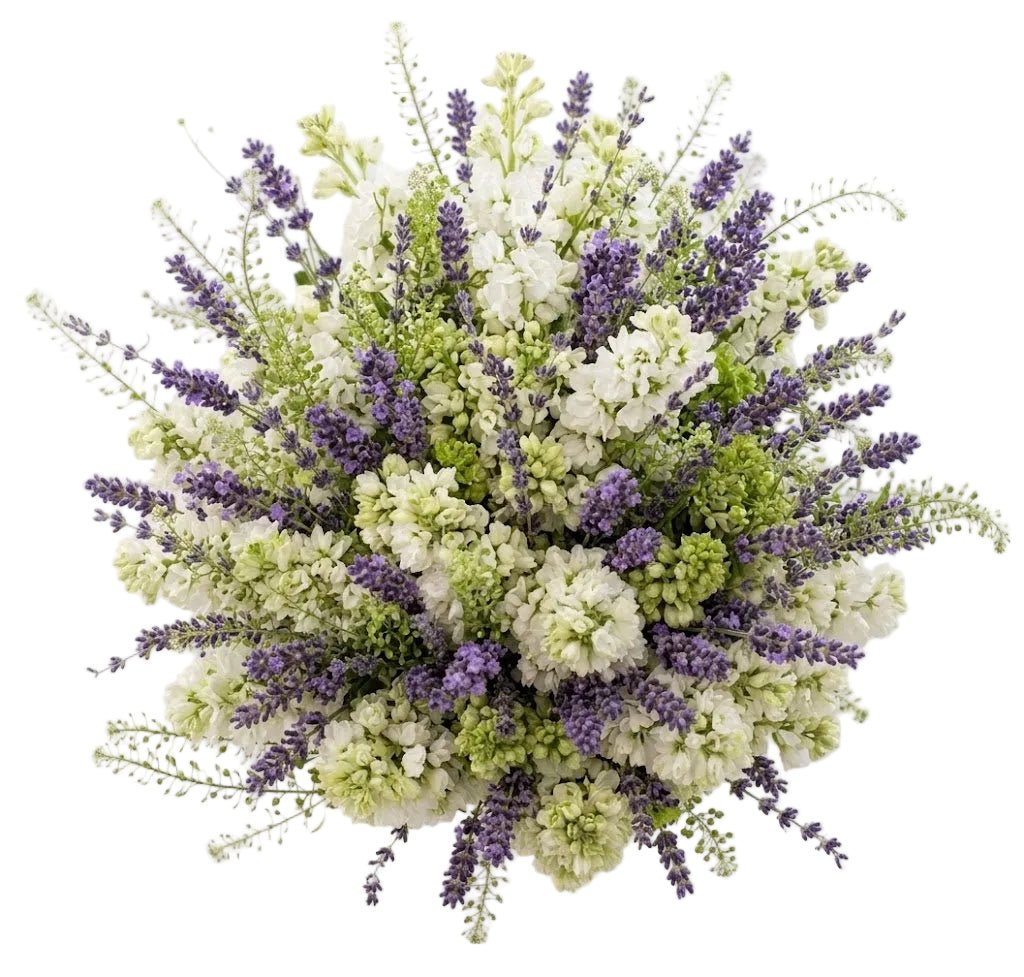 White Scented Bouquet - Florist London