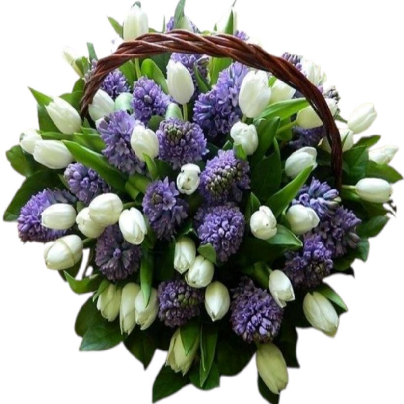 White Tulips with Hyacinths Basket - Florist London