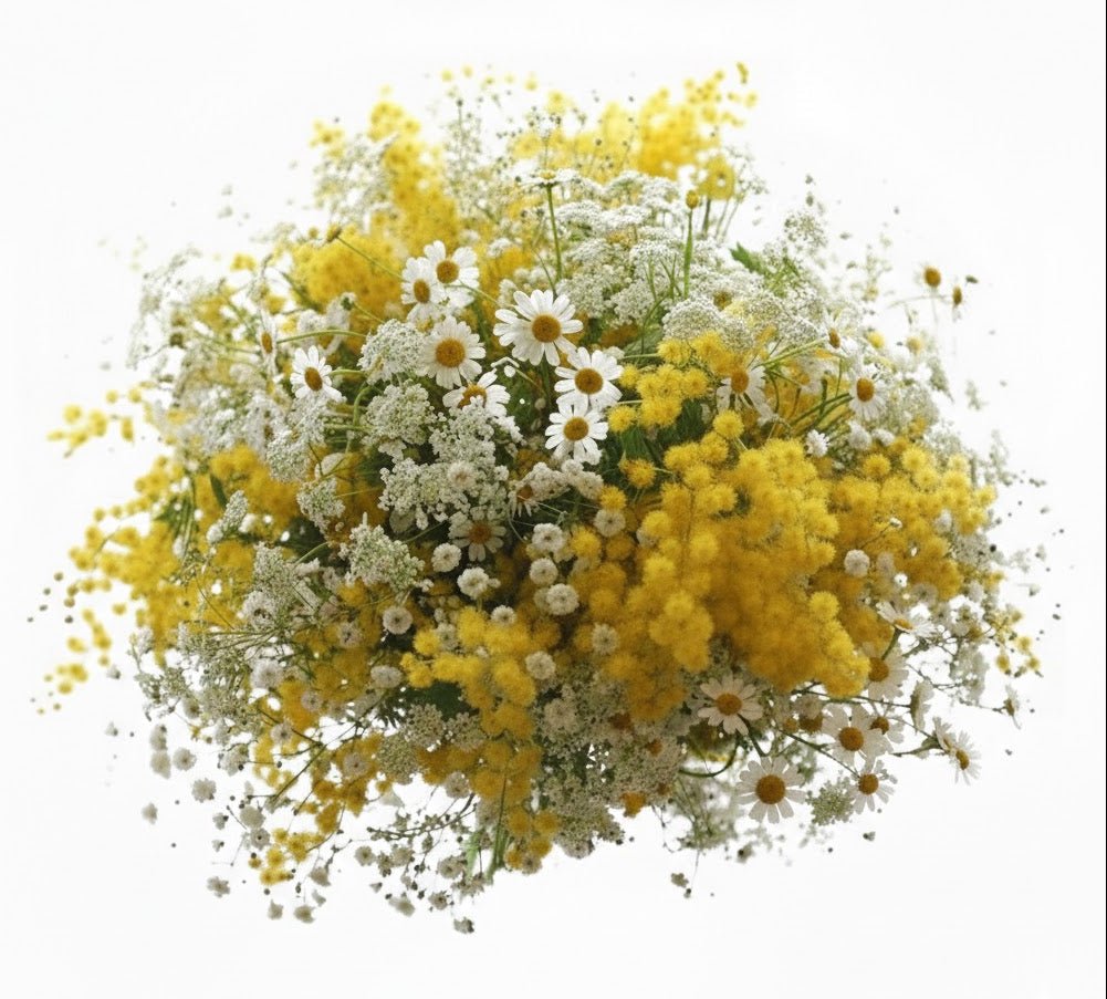 Wild with Mimosa Bouquet - Florist London