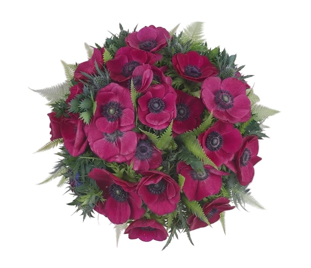 Wonderful Anemone Bouquet - Florist London