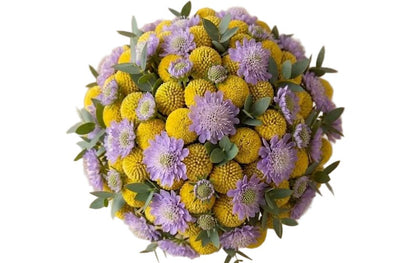 Yellow Craspedia with Scabiosa Modern Bouquet - Florist London